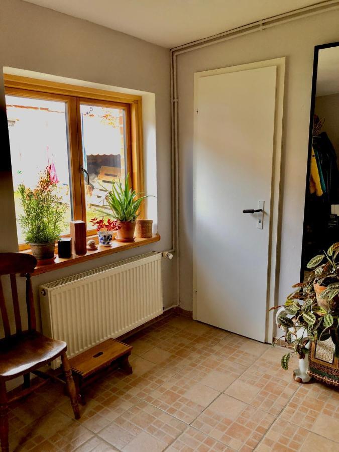Gemuetliches Studio-Apartment In Ostseenaehe - Cosy Wulfi Probsteierhagen Exteriör bild