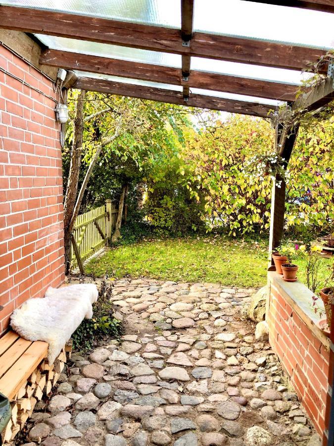 Gemuetliches Studio-Apartment In Ostseenaehe - Cosy Wulfi Probsteierhagen Exteriör bild