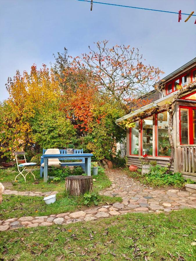 Gemuetliches Studio-Apartment In Ostseenaehe - Cosy Wulfi Probsteierhagen Exteriör bild